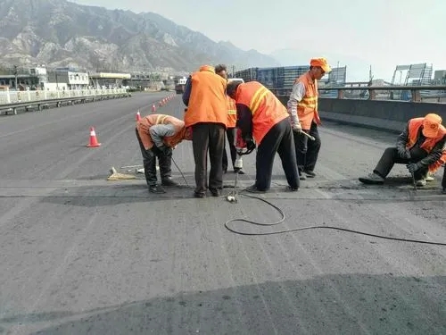 神木道路桥梁病害治理